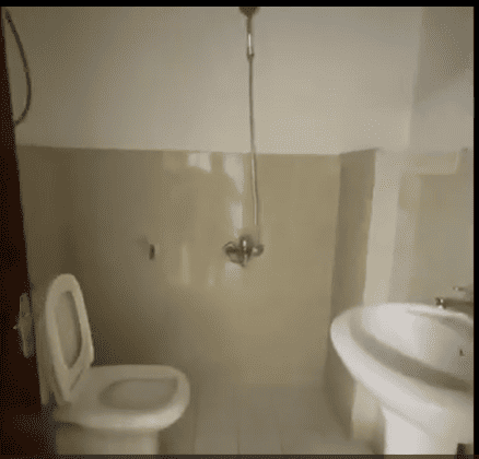 1 Bed | 1 Bath | Freehold | Apartment for rent